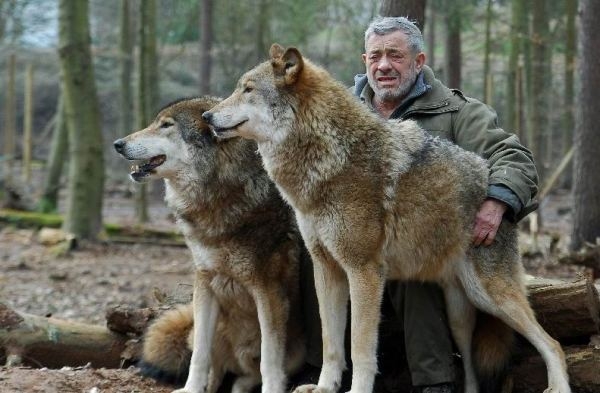 Người đàn ông 40 năm sống chung với sói