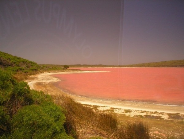 Hồ nước màu hồng kỳ lạ tại Úc
