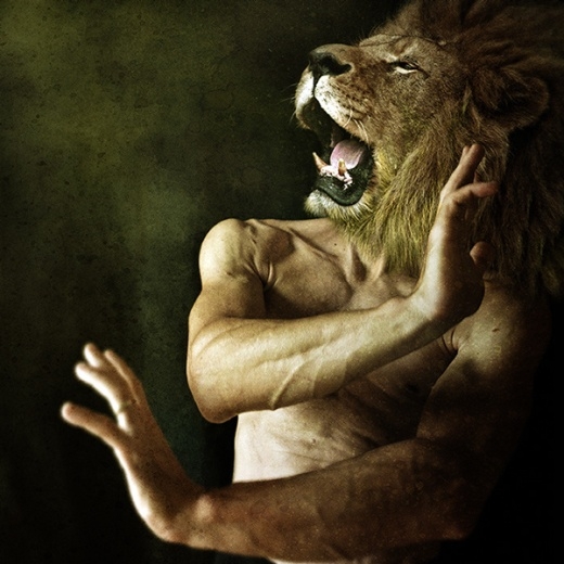 Vua sư tử mạnh mẽ