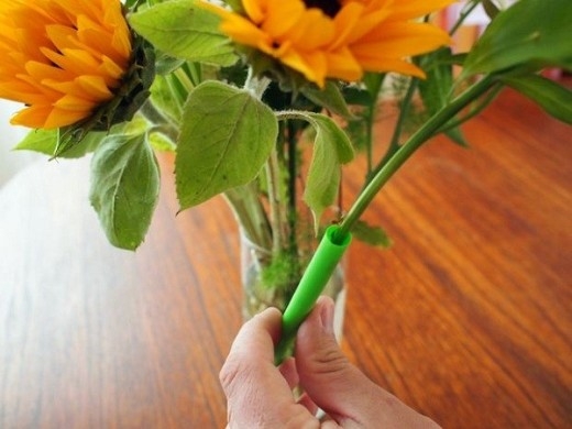 Với những loại hoa có cành mềm, bỏ thân của chúng vào trong ống hút sẽ giúp hoa đứng vững hơn.