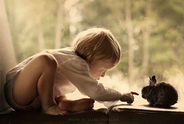 Bộ ảnh đẹp đến ngỡ ngàng của cậu bé bên các loài động vật