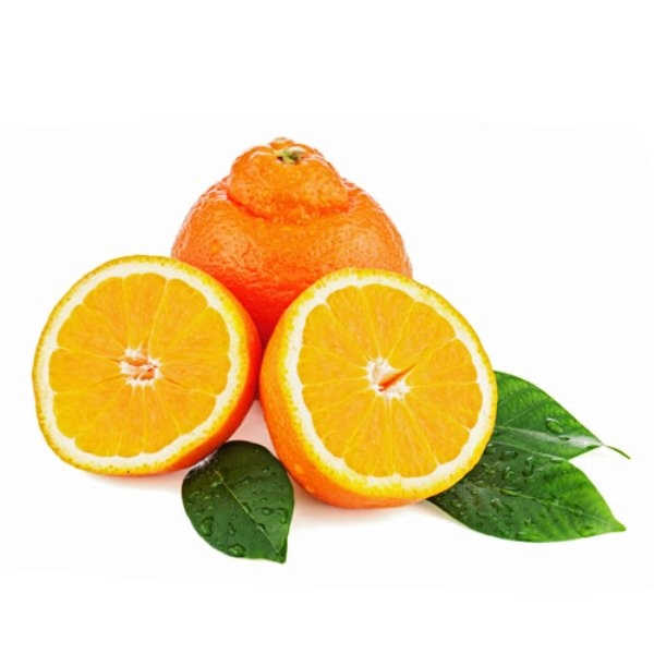 20140404-0336-1303-citrus-fruits-06.jpg
