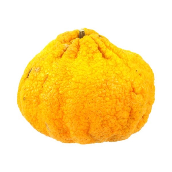 20140404-0336-1303-citrus-fruits-07.jpg