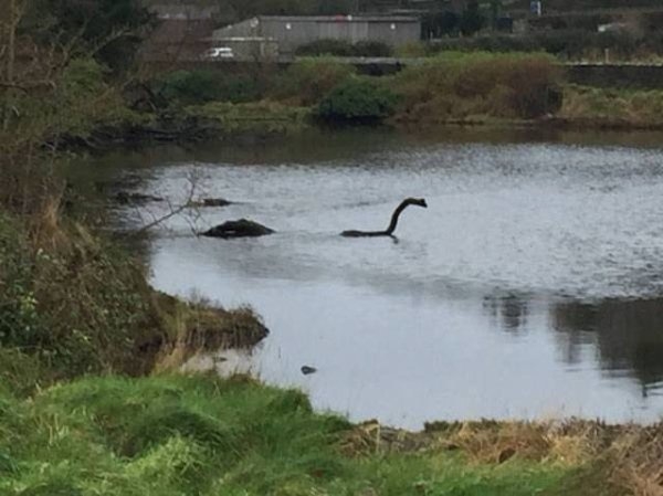 Quái vật hồ Loch Ness đây chăng?