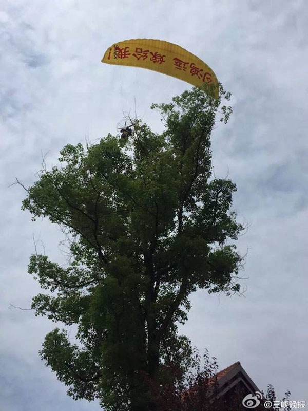 Chiếc dù bị gió mạnh đẩy đi và mắc vào một cây cao.