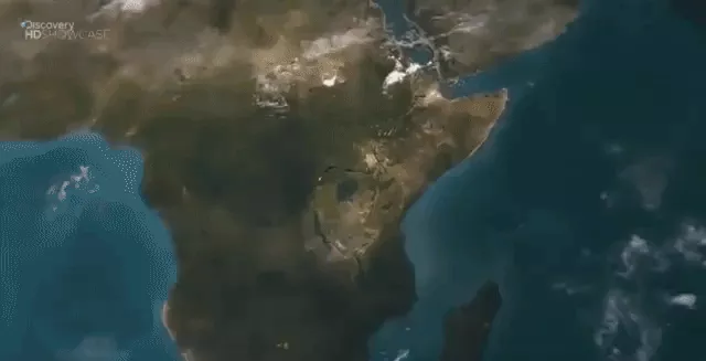 Hình ảnh cắt từ video của Discovery channel.