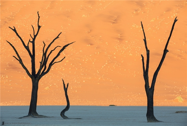 Sa mạc Nambib ở Namibia với khung ảnh "ảo như tranh".