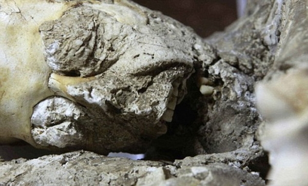 Khối hóa thạch một người đang ở trong cảnh bàng hoàng khiếp sợ, mắt mở to và miệng còn đang há ra chưa kịp khép lại.