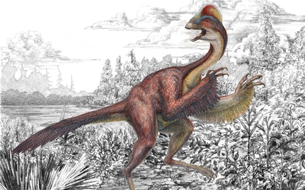 Therizinosauridae thuộc nhóm khủng long chân thú. 
