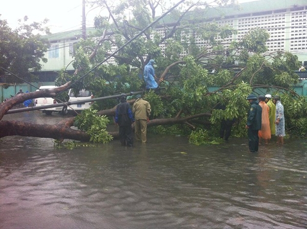 
	
	Các đơn vị phòng chống ứng cứu bão lụt thành phố đang giải toả cây ngã đổ để sớm thông đường vào bệnh viện Đa khoa TP. Ảnh: Linh Suzu.