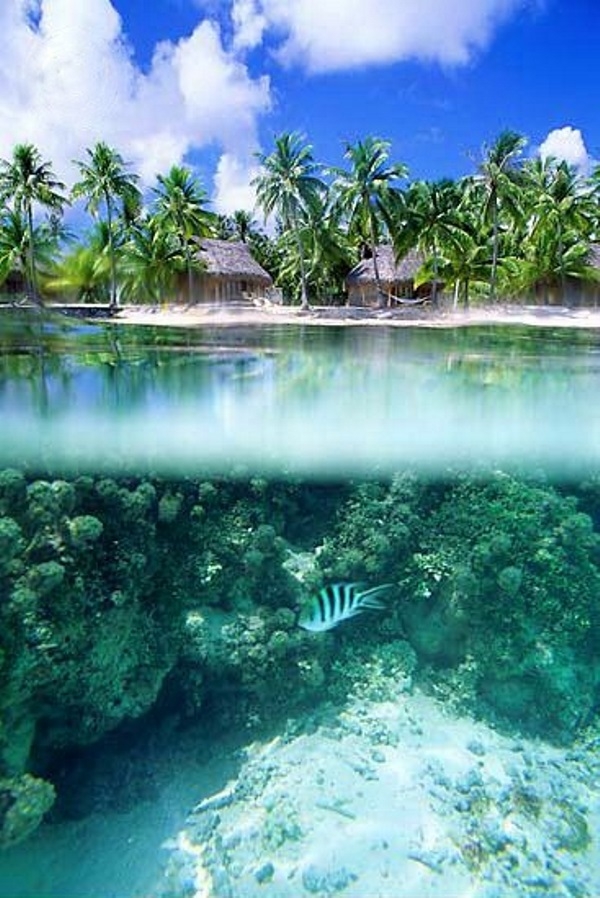 Thiên đường xanh Tahiti
