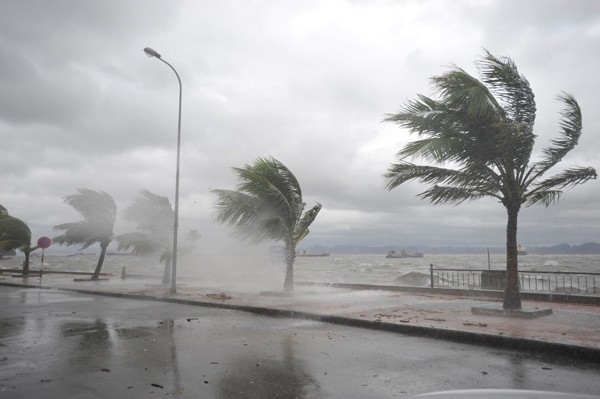 Haiyan quật ngã tháp truyền hình rồi suy yếu thành áp thấp