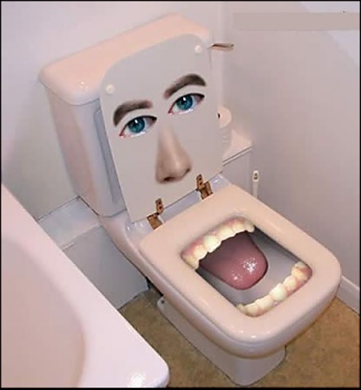 20131112-0457-toilet-02.jpg