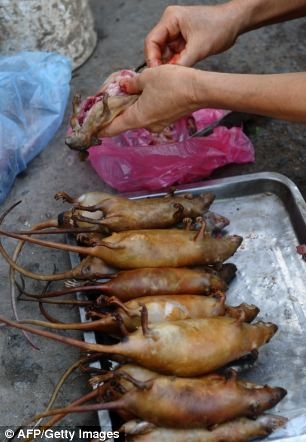 Thịt chuột đồng - Món ăn "kinh dị" của người Việt