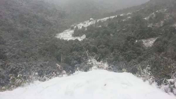 Thú vị ảnh tuyết rơi "trắng" núi ở Sapa