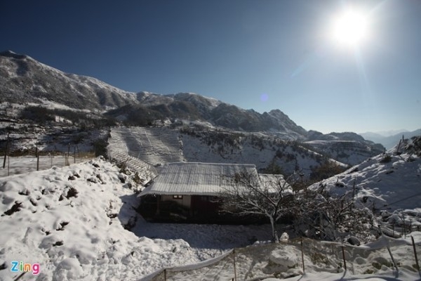 Hình ảnh Sa Pa phủ tuyết trắng đẹp nhất 50 năm qua