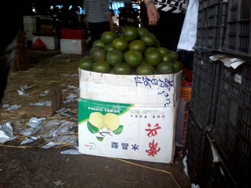 
	
	Thùng cam Trung Quốc được tập kết tại chợ Long Biên, sau đó sẽ được đưa về các sạp dưới mác cam Hà Giang