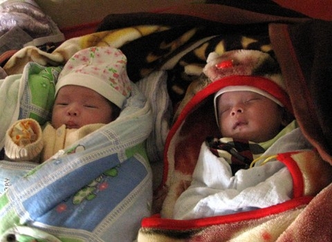 
	
	Hai em bé được sinh ra từ tinh trùng người cha đã khuất.
