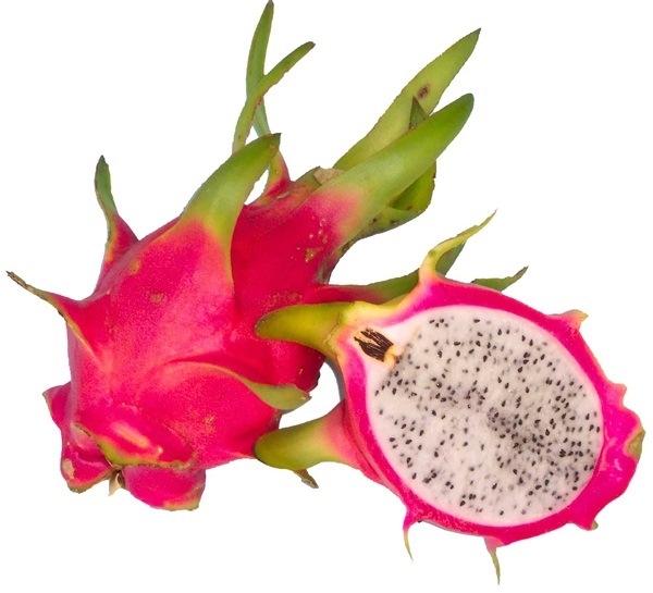 20140321-0644-hylocereus-undatus-fruta-blanca-con-cubierta-rosada-pitaya1.jpg