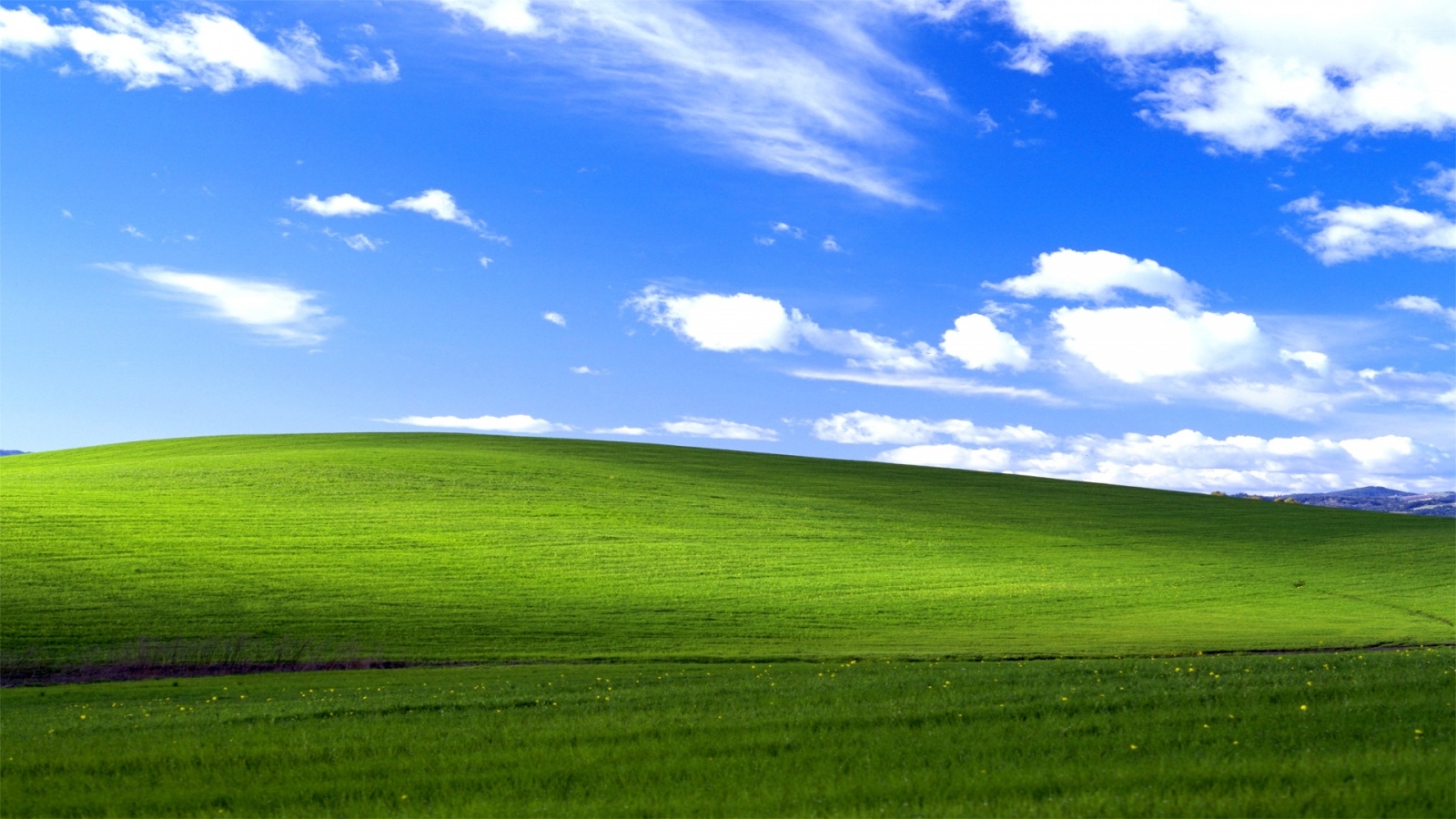 Tác giả ảnh nền Windows XP đã có thể thành triệu phú nhờ phí bản quyền