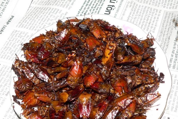 Sửng sốt món ngon đặc sản chế biến từ các loài côn trùng ghớm ghiếc