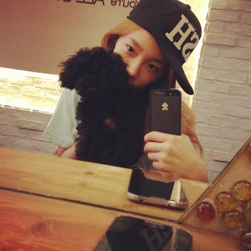 
	
	Taeyeon luôn tình cảm với chú chó Ginger của mình