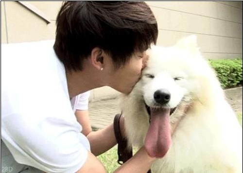 
	
	Tuy không nhỏ nhắn như những chú cún khác, nhưng nhìn cách Junsu hôn Xiaki thì biết anh thương chú cún này như thế nào