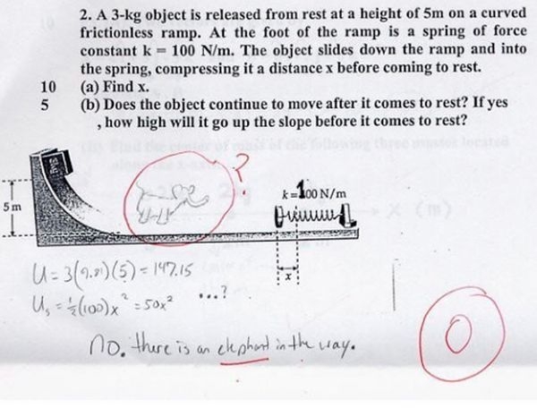 
	
	Bài giải đã nhận được điểm 0 tròn trĩnh của giáo viên vì sự xuất hiện bất ngờ của... chú voi