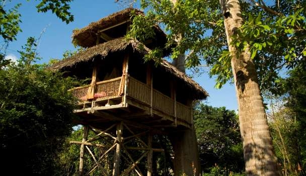 5 khách sạn trên cây “đỉnh” nhất nhì thế giới