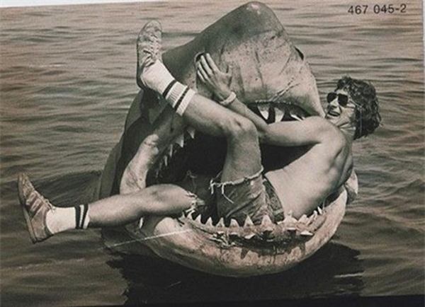 
	
	Hàm cá mập của Jaws thực sự không đáng sợ như lên hình.