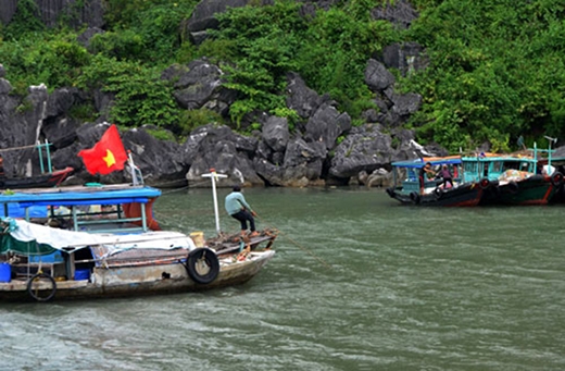 
	
	Ngư dân trong vịnh Hạ Long lo neo đậu thuyền tránh bão