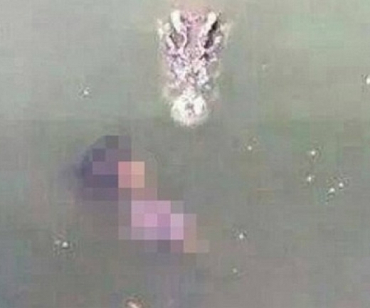 Nhảy xuống hồ có 1.000 con cá sấu để tự tử