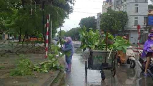  Hải Phòng, Quảng Ninh xác xơ sau bão số 3 