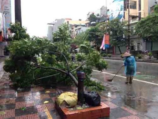  Hải Phòng, Quảng Ninh xác xơ sau bão số 3 