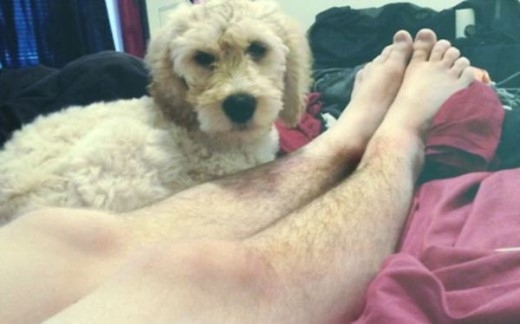 
	
	Bức ảnh chụp của chủ nhân blog 'Very Hairy Legs' trên Tumblr bên người bạn đầy lông với chia sẻ: 'Ngay cả chú chó của tôi cũng không quan tâm'.
