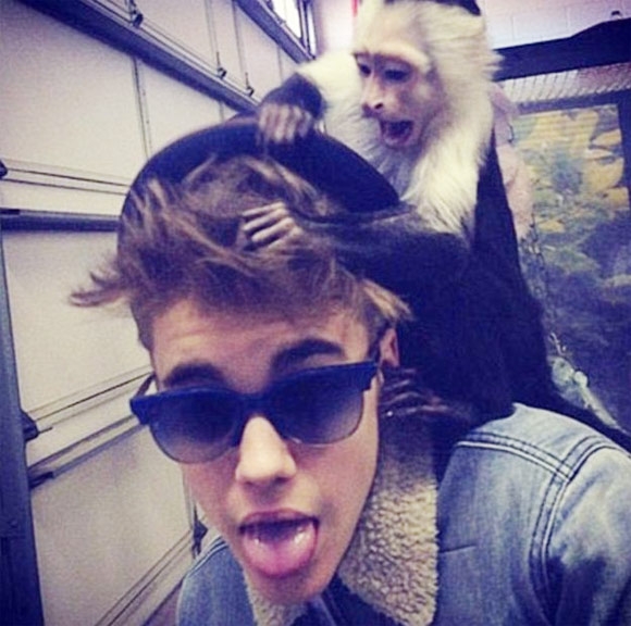 
	
	Chú khỉ Mally được Justin nuôi mà không có giấy tờ xuất xứ