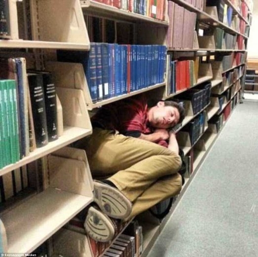 
	
	Thư viện là một nơi lý tưởng để ngủ vì yên tĩnh và ít người qua lại. Được ngủ với sách tạo cảm giác mình cũng rất trí thức đấy chứ