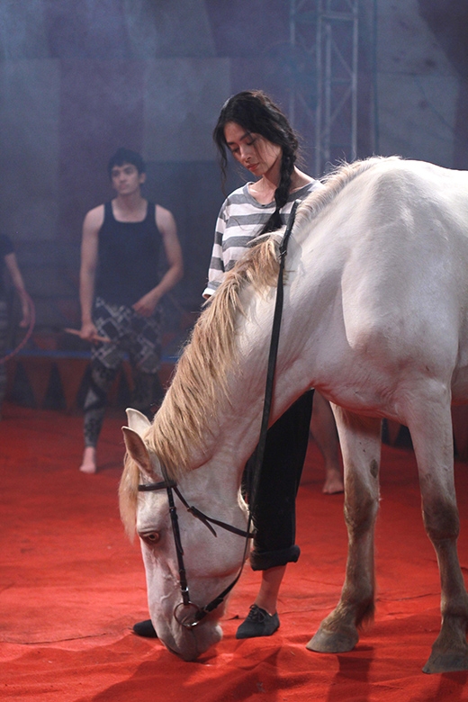 
	
	'Tiên nữ' Ngô Thanh Vân xuất hiện trong rạp xiếc và làm công việc nuôi ngựa - Tin sao Viet - Tin tuc sao Viet - Scandal sao Viet - Tin tuc cua Sao - Tin cua Sao