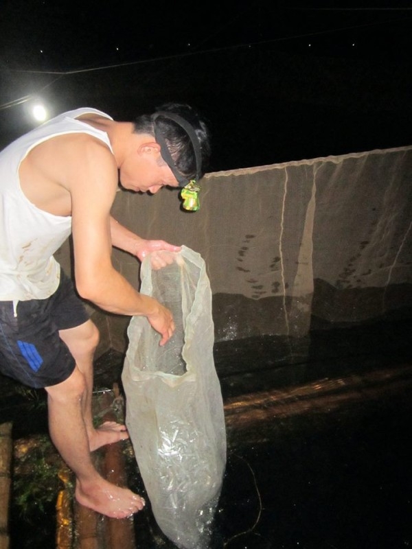 
	
	Thầy Quyết hiệu trưởng trường THCS Tân Dân trực tiếp đi đánh cá đêm cải thiện bữa ăn cho học trò. Ảnh Nguyen Tien