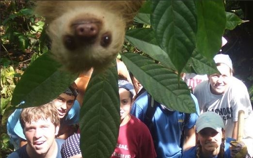 
	
	Trong năm 2012, một con lười Gatecrashed đã có một bức ảnh để đời cùng một nhóm tình nguyện viên của những sinh viên ở Costa Rica.