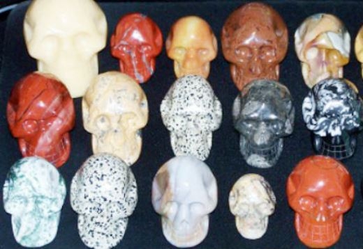 
	
	Những chiếc sọ người được phát hiện vào thế kỷ 20