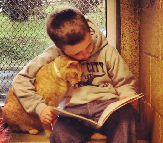 
	
	Một khu nhà cho động vật ở Pennsylvania đưa ra ý tưởng tuyệt vời kết đôi trẻ em và mèo thành những nhóm đọc sách. Hàng tuần, hơn 20 em bé từ lớp 1 đến lớp 8 đã thăm Hiệp hội cứu trợ động vật ở hạt Berks, nơi chúng đọc sách cho những chú mèo vô gia cư.