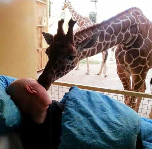 
	
	Một nhân viên Sở thú Rotterdam sắp ra đi vì chứng ung thư thỉnh cầu quỹ Ambulance Wish Foundation Hà Lan giúp anh thăm những con thú một lần cuối. Một chú hươu cao cổ đã gửi tới anh lời vĩnh biệt vô cùng xúc động.