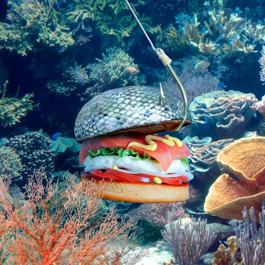 
	
	Burger Đại dương