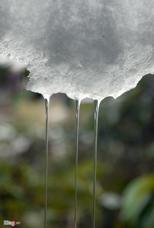 
	
	Băng tuyết đọng và mưa rơi kết hợp làm cho những giọt băng trở nên kỳ thú. 