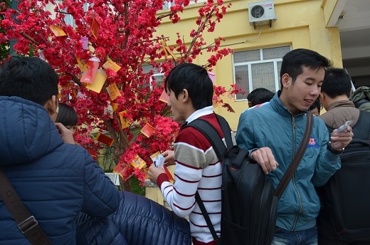 
	
	Không khí Tết đổ bộ khắp 12 điểm trường ĐH tại Hà Nội