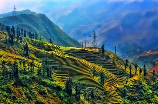 
	
	Ruộng bậc thang Lào Cai, nét độc đáo của vùng núi Tây Bắc - Ảnh: Amateur Pic