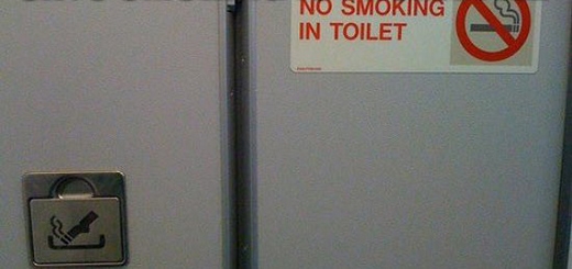 
	
	Dù các chuyến bay cấm hành khách hút thuốc nhưng người ta vẫn thiết kế gạt tàn trong nhà vệ sinh. Vật dụng này để những người cố tình phớt lờ cảnh báo có chỗ vứt tàn thuốc thay vì ném vào thùng rác.