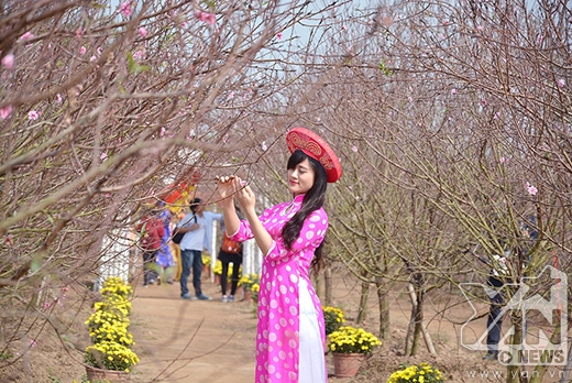 
	
	Vườn đào Nhật Tân luôn trở thành tâm điểm thu hút giới trẻ Hà Nội những ngày gần Tết Nguyên Đán.