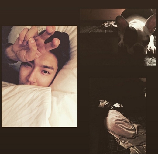 
	
	Siwon không quên chúc các fan ngủ ngon bằng hình ảnh tự sướng của anh và chú cún đáng yêu: 'Ngủ ngon cả thế giới'.